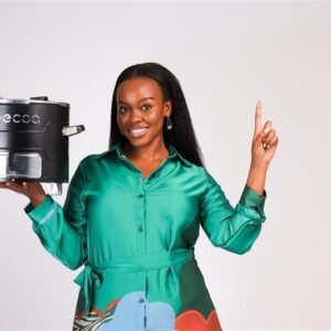 ecoa char plus stove