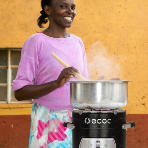 ecoa char plus stove